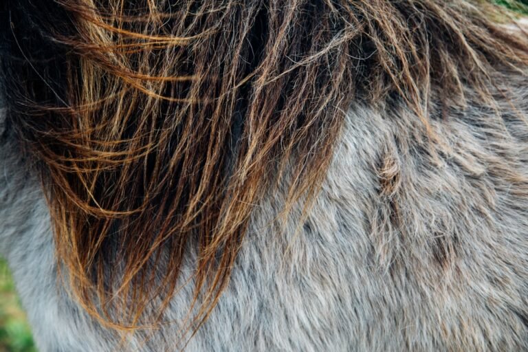 Understanding hair damage causes and their effects